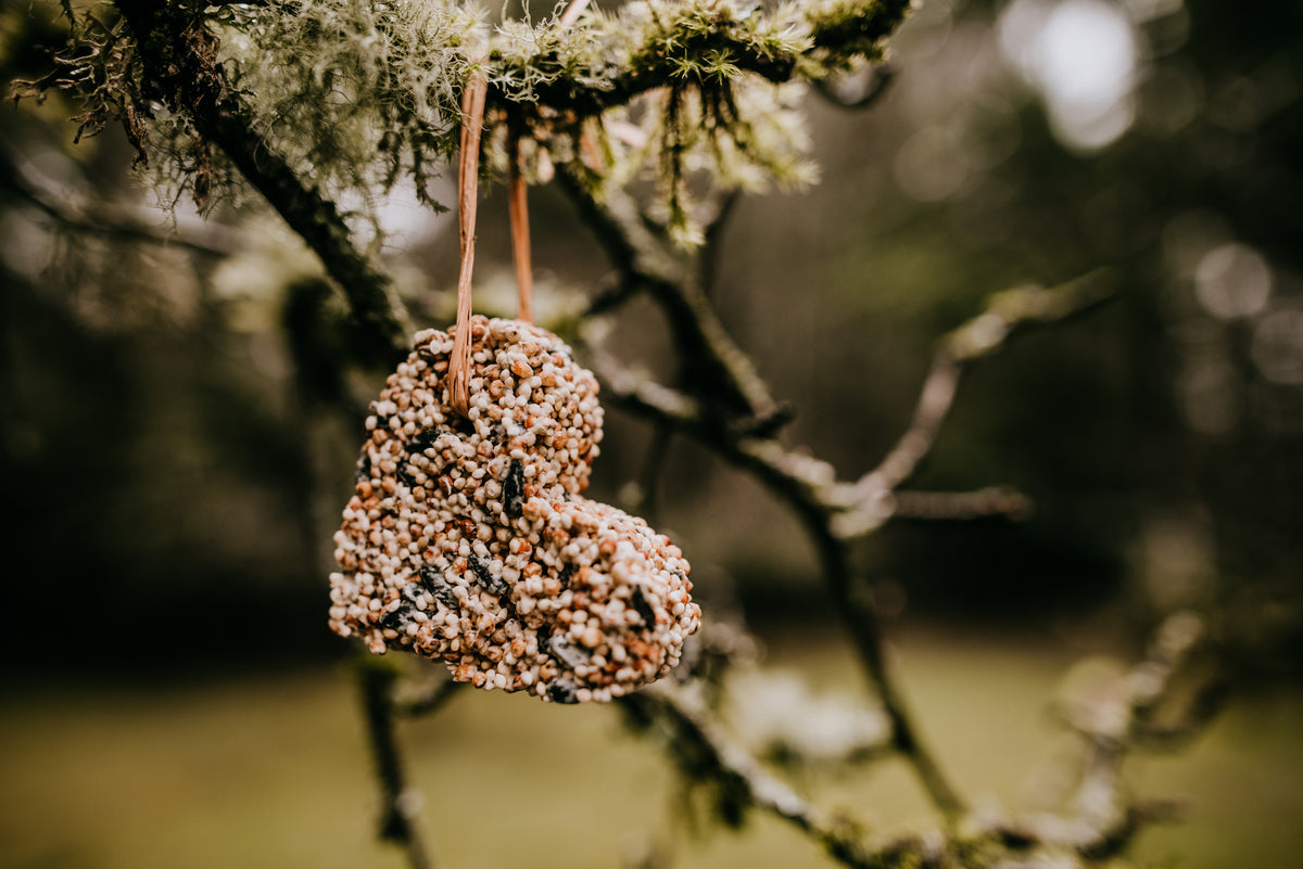 Low-Waste Bird Seed Valentine – Cedar House Living LLC, image size:1200x801