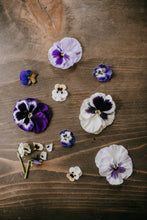 Load image into Gallery viewer, Flower Pressing Workshop at Gray's Mercantile