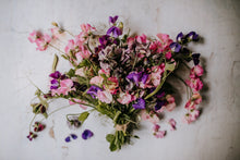 Load image into Gallery viewer, Sweet Pea Seed Radiance Mix
