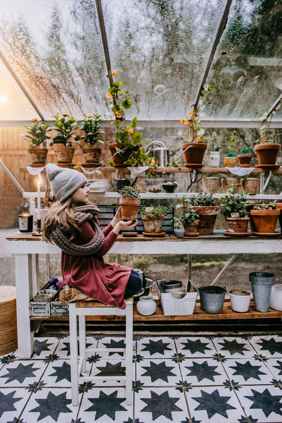 My Winter Sanctuary: A Greenhouse Refresh