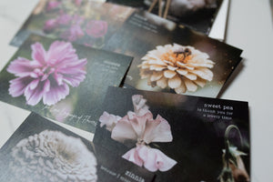 Floriography Flatcards