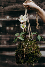 Load image into Gallery viewer, The Winter Kokedama Workshop at William Grassie Wine Estate
