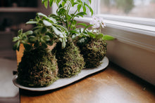 Load image into Gallery viewer, Houseplant Kokedama Workshop at Gray's Mercantile
