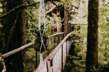 Load image into Gallery viewer, Treehouse Point Tour + Kokedama Workshop
