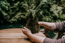 Load image into Gallery viewer, Treehouse Point Tour + Kokedama Workshop
