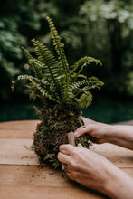 Load image into Gallery viewer, Treehouse Point Tour + Kokedama Workshop
