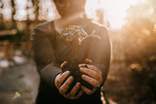 Load image into Gallery viewer, Windowsill Herb Garden Workshop
