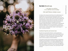 Load image into Gallery viewer, Signed Copy of Seasonal Living with Herbs
