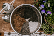 Load image into Gallery viewer, Windowsill Herb Garden Workshop
