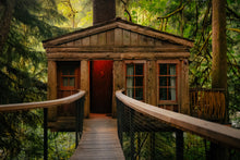Load image into Gallery viewer, Treehouse Point Tour + Kokedama Workshop
