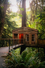 Load image into Gallery viewer, Treehouse Point Tour + Kokedama Workshop

