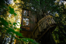 Load image into Gallery viewer, Treehouse Point Tour + Kokedama Workshop
