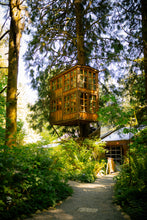 Load image into Gallery viewer, Treehouse Point Tour + Kokedama Workshop
