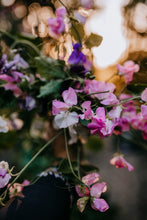 Load image into Gallery viewer, Sweet Pea Seed Radiance Mix
